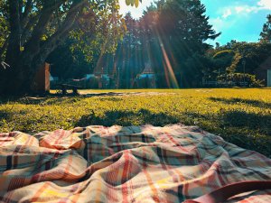 Plaid blanket on lawn