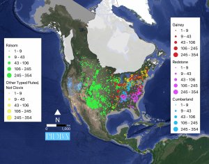 Map of North America showing the color coded geographic distribution and density of five types of Paleoindian fluted projectile points.