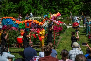 dragon dance with full scale dragon body in Peony Garden