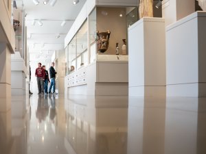 View looking down the length of the Kelsey Museum’s Greek galleries. A small group of visitors stands at the rear, while cases display vases and amphorae.