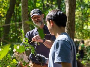 Image shows two people in a forest inspecting plants