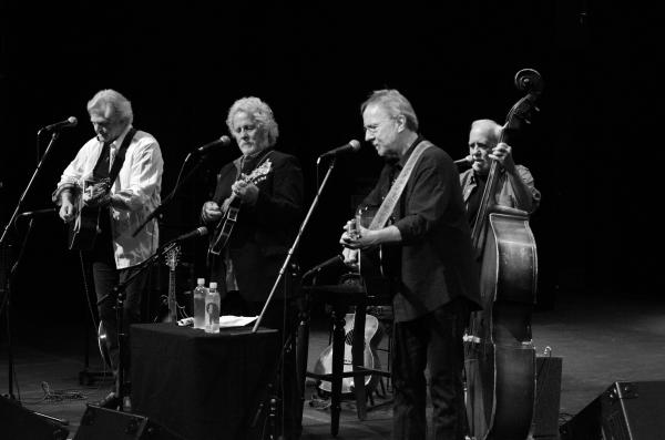 Desert Rose Band