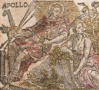 Detail from the book cover of Cruydeboeck by Dodoens, 1554; purchased by U-M in
