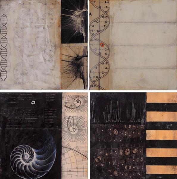 Scientific Tiles: Invisible World (detail) by Graceann Warn, photograph by the a