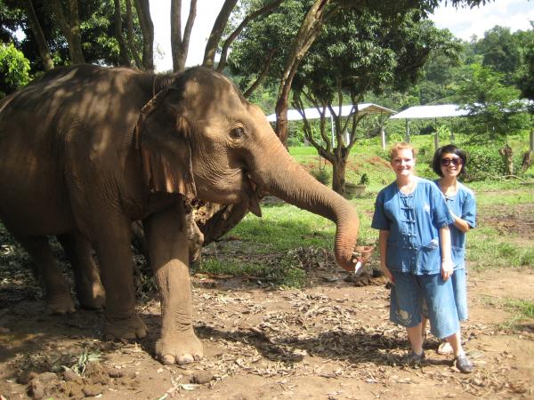 IPE Elephant
