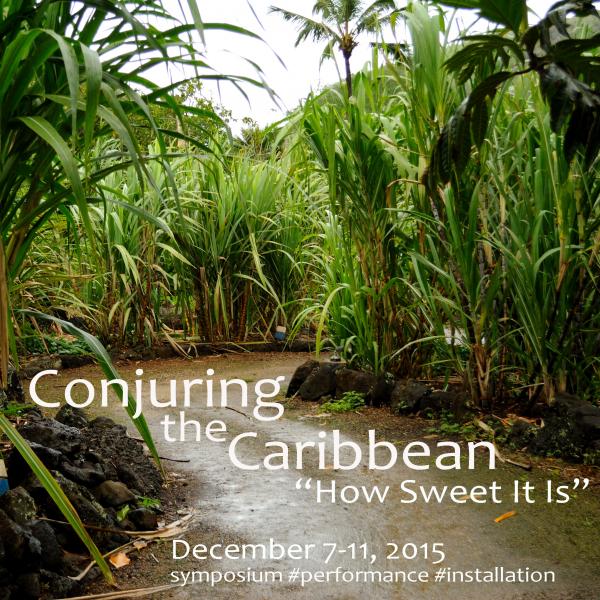 photo of sugar cane on a path