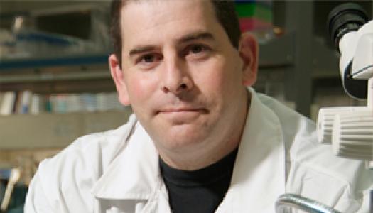 Dr. Orian