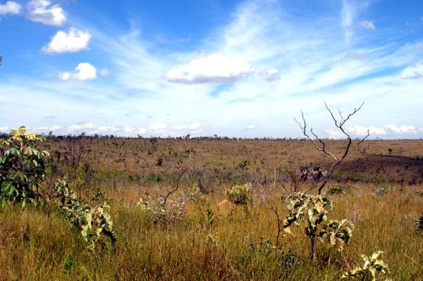 prairie