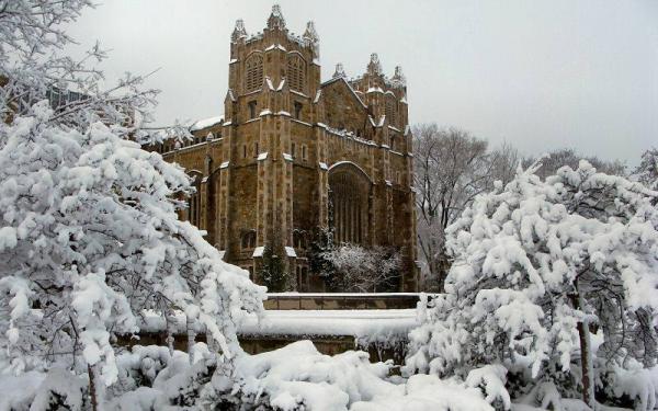 Winter Fest