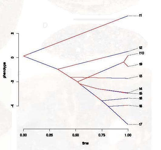 graph showing phenotype over time