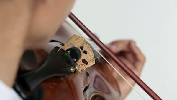 Violinist