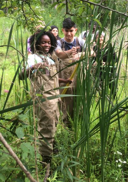 Students doing field work.