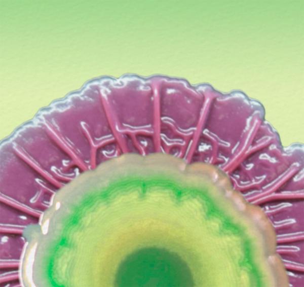 Vaughn research image