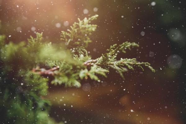 winter pic