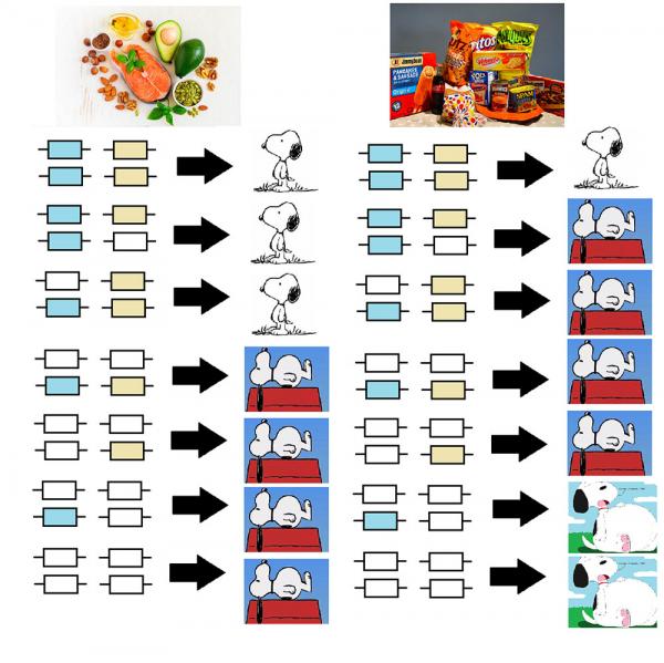 diagram