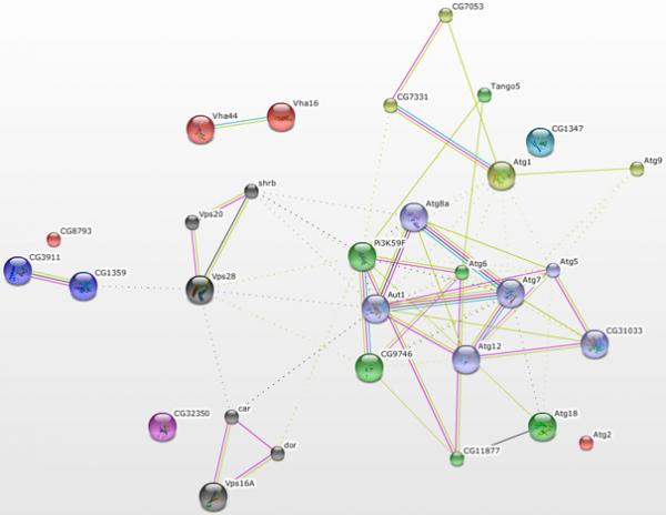 clustering diagram