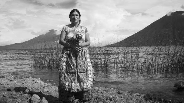 Fran Antmann, Maya Healers
