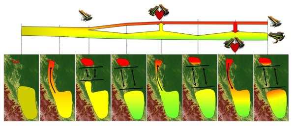 frog diagram