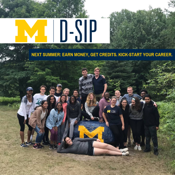 D-SIP Photo