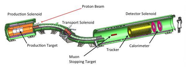 Full Detector