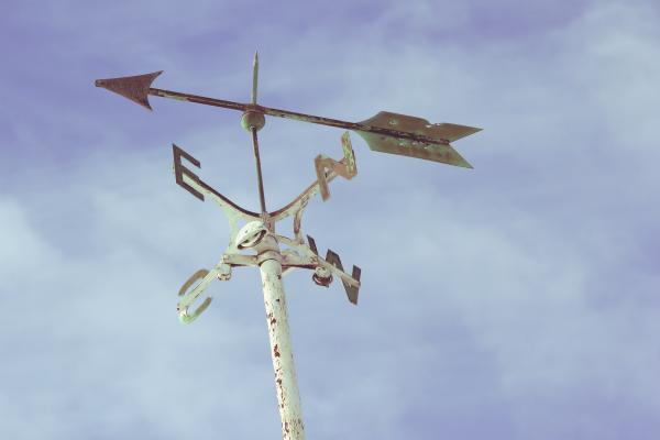 Arrows