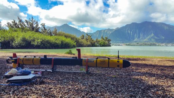 autonomous underwater vehicle