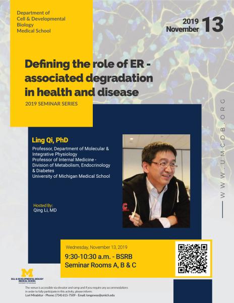 CDB Seminar - Qi