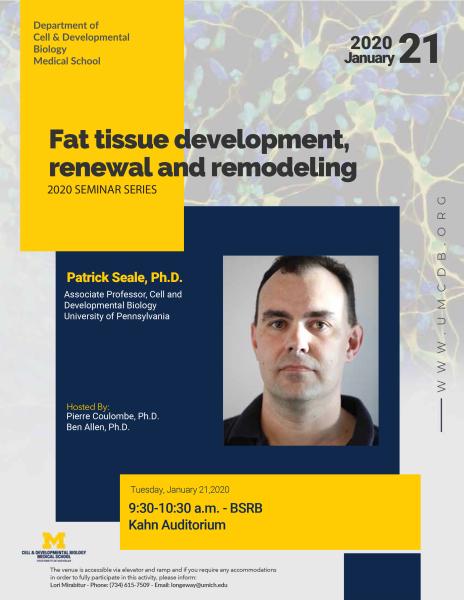 CDB Seminar - Seale