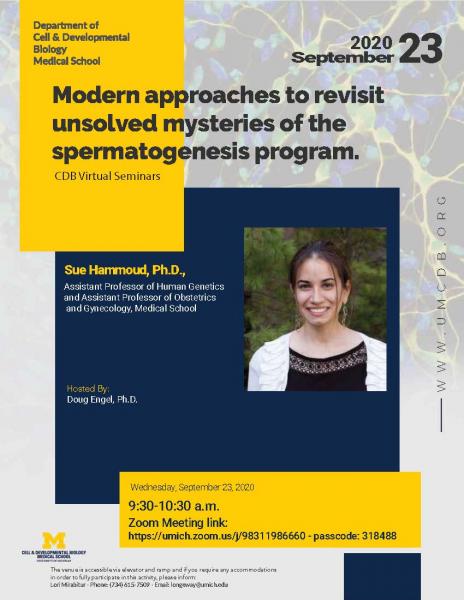 Sue Hammoud, Ph.D., Assistant Professor of Human Genetics and Assistant Professor of Obstetrics and Gynecology