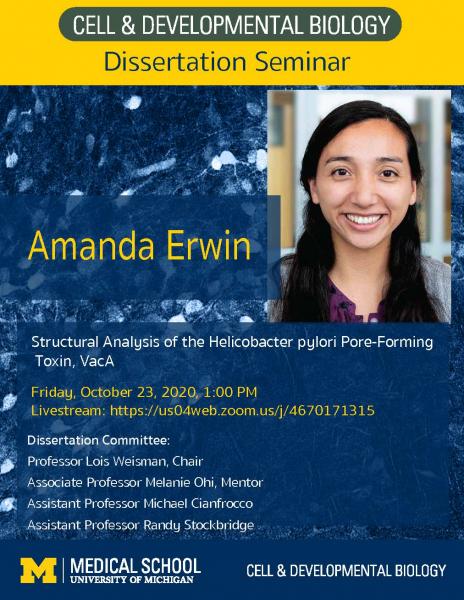 Amanda Erwin - PhD Candidate