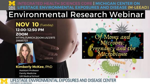 Environmental Research Seminar