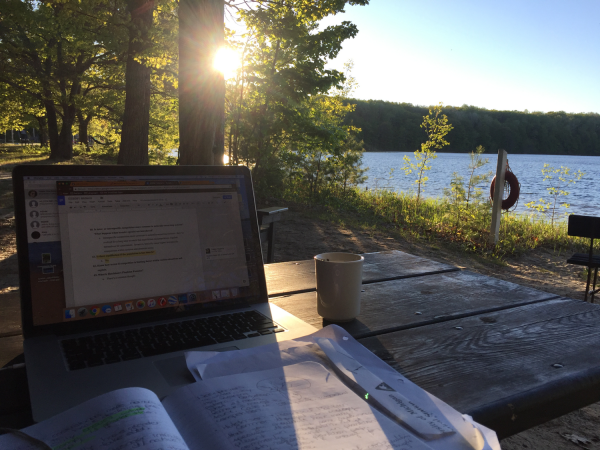 A student works on a laptop on the sunny shores of Douglas Lake.