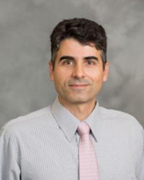 Professor Ivo Dinov