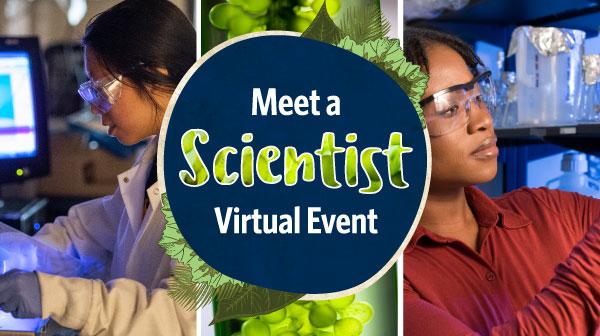 Meet a Scientist Virtual Event