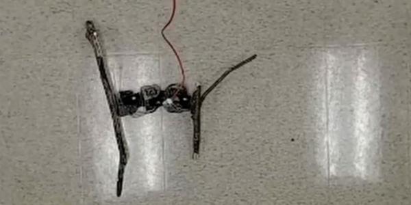 tree branch robot