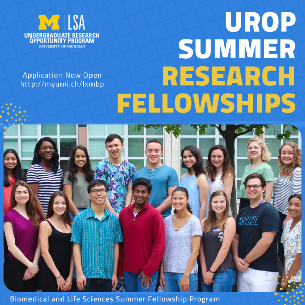 Summer Programs