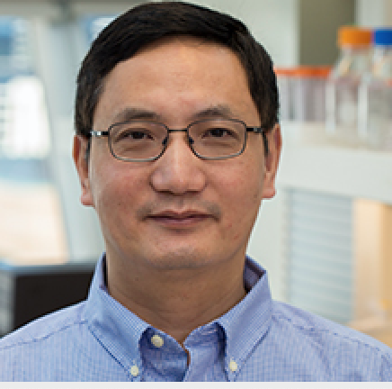 Dr. Huilin Li