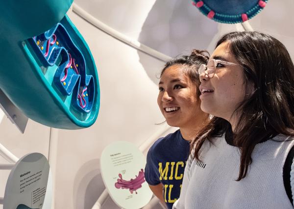 Explore the different research opportunities LSA has to offer!