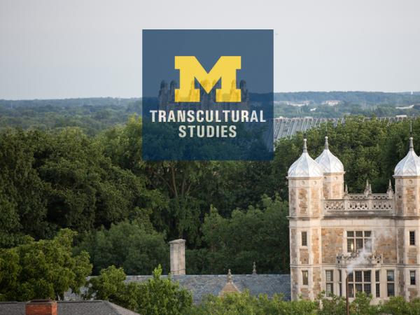 Logo for AMDP in Transcultural Studies