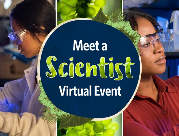 Meet a Scientist Virtual Event