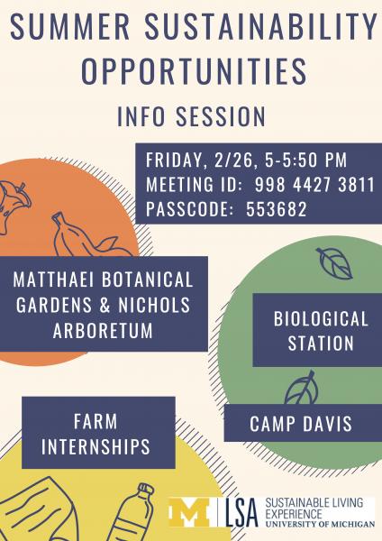 Summer Sustainability Opportunities Flyer