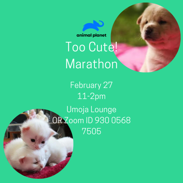 Flyer sharing information about the show marathon program.