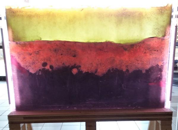 Winogradsky Panel