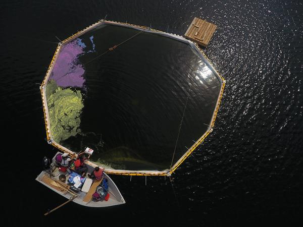 an overhead drone picture of collaborators dosing a mesocosm with colored microplastics, photo credit Scott Higgins