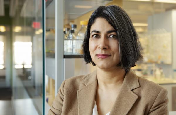Dr. Lara Mahal