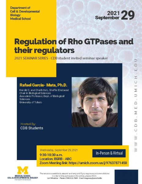 Regulation of Rho GTPases and their regulators
