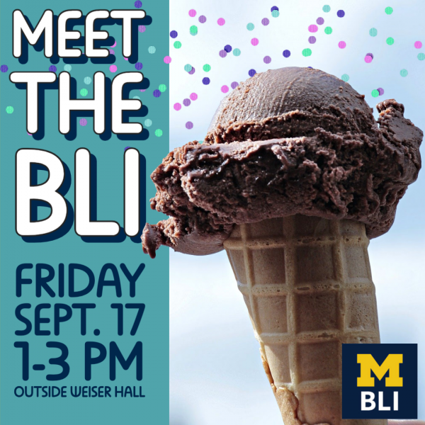 Picture of Ice Cream with the text Meet the BLI