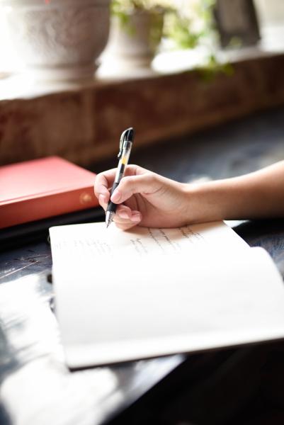 Notebook open on table with desk plants