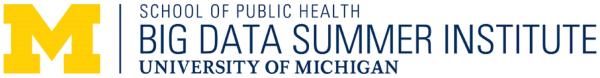 Big Data Summer Institute in Biostatistics 2022