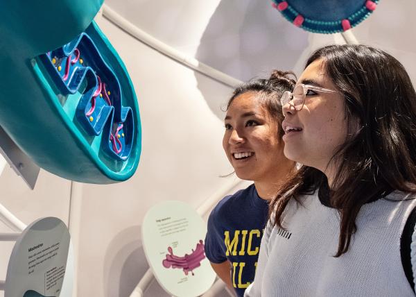 Explore the different research opportunities LSA has to offer!